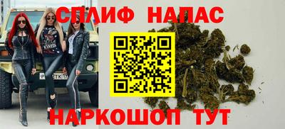 амф Гай
