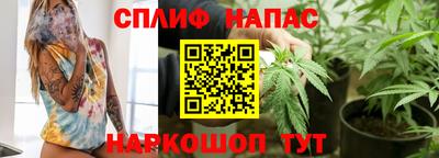 бошки Гатчина