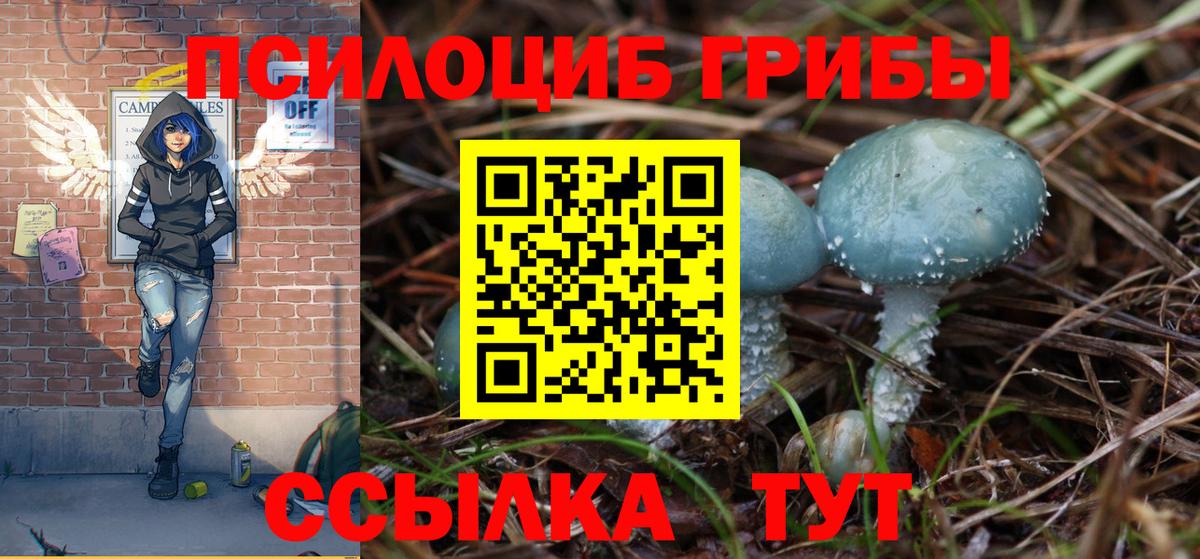 Псилоцибиновые грибы Cubensis Нижний Новгород