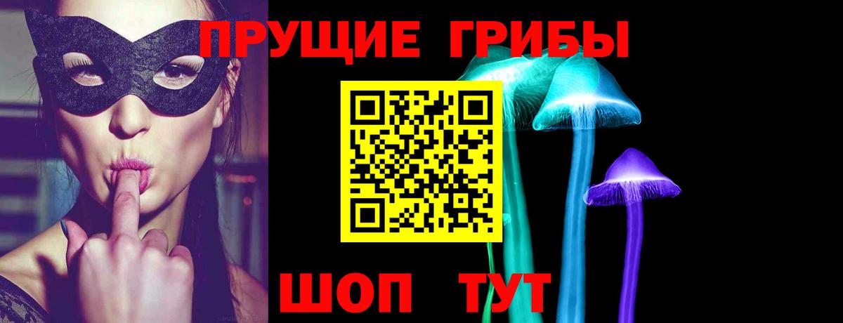 Псилоцибиновые грибы MAGIC MUSHROOMS  Галлюциногенные грибы Cubensis  Вход с VPN  купить наркотик  Нижний Новгород 